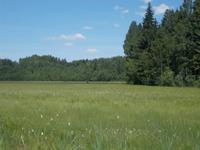 DSCN0876 &ndash; &copy; Kerstin Veit (Eberhardt TRAVEL)