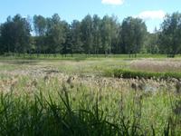DSCN1003 NP Gauja &ndash; &copy; Kerstin Veit (Eberhardt TRAVEL)