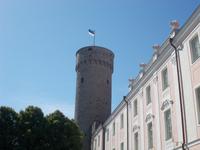 DSCN1056 langer Hermann mit estnischer Flagge &ndash; &copy; Kerstin Veit (Eberhardt TRAVEL)