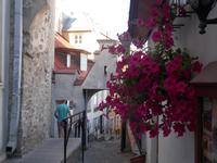 DSCN1068 langes oder kurzes Bein ? &ndash; &copy; Kerstin Veit (Eberhardt TRAVEL)