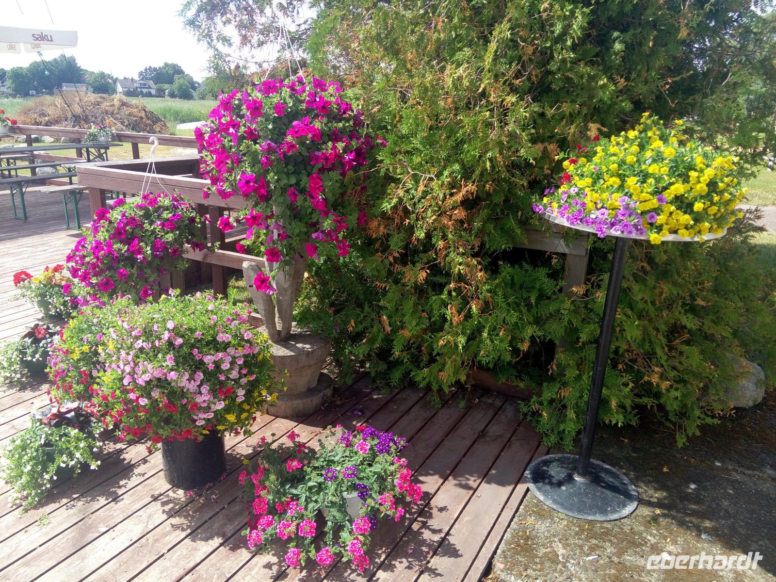 Blumen &ndash; &copy; Ksenia Parfenova (Eberhardt TRAVEL)
