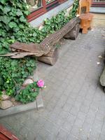 Hinterhof