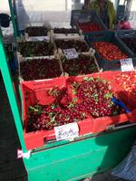 Obst &ndash; &copy; Ksenia Parfenova (Eberhardt TRAVEL)