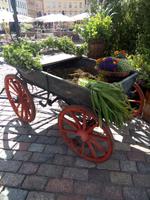 Marktplatz &ndash; &copy; Ksenia Parfenova (Eberhardt TRAVEL)