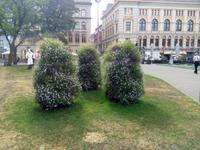 Unterwegs in Riga