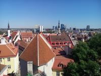 Tallin von oben &ndash; &copy; Ksenia Parfenova (Eberhardt TRAVEL)
