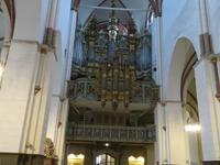 IMG 6090