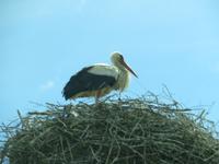 IMG 6200 &ndash; &copy; Kathrin Mickan (Eberhardt TRAVEL)