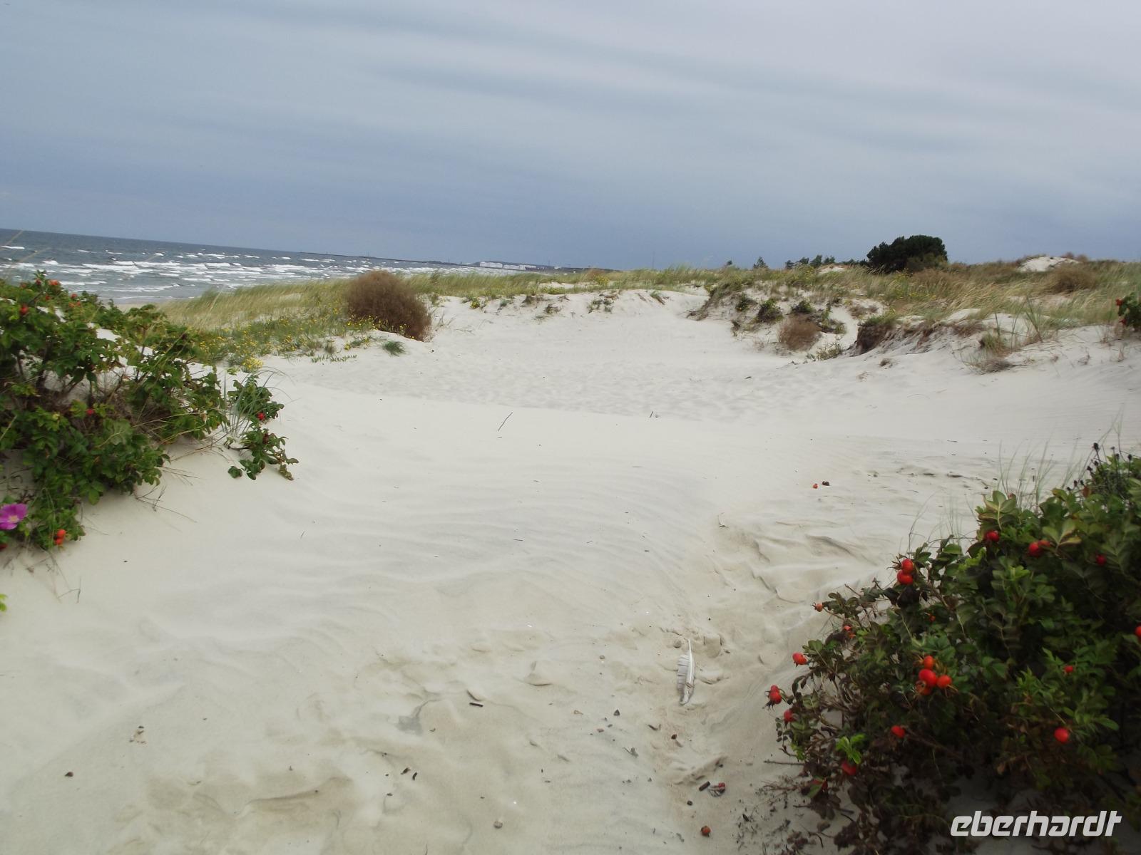 Kurische Nehrung &ndash; &copy; Christina Schlawis (Eberhardt TRAVEL)