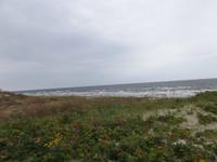 Kurische Nehrung &ndash; &copy; Christina Schlawis (Eberhardt TRAVEL)