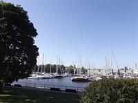 Hafen in Tallinn
