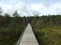 Lahemaa-Nationalpark &ndash; &copy; Christina Schlawis (Eberhardt TRAVEL)