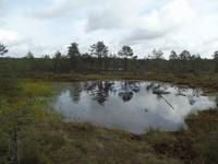 Lahemaa-Nationalpark &ndash; &copy; Christina Schlawis (Eberhardt TRAVEL)