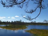 Moorlandschaft &ndash; &copy; Barbara Werrmann (Eberhardt TRAVEL)