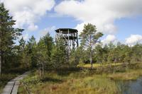 Hochmoor - Naturpfand &ndash; &copy; Annett Müller (Eberhardt TRAVEL)