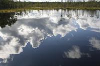 Lahemaa Nationalpark &ndash; &copy; Annett Müller (Eberhardt TRAVEL)