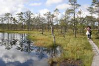 Lahemaa Nationalpark &ndash; &copy; Annett Müller (Eberhardt TRAVEL)