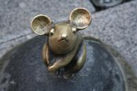 Maus in Klaipeda