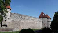 Tallin (11) &ndash; &copy; Andreas Höhn (Eberhardt TRAVEL)