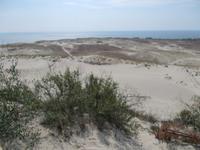 DSCN3822  Wanderdüne &ndash; &copy; Kerstin Veit (Eberhardt TRAVEL)
