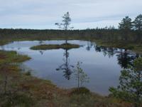 DSCN3985  Lahemaa Nationalpark &ndash; &copy; Kerstin Veit (Eberhardt TRAVEL)