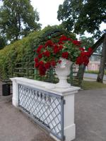 DSCN4038 Park &ndash; &copy; Kerstin Veit (Eberhardt TRAVEL)