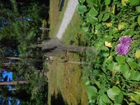 Litauen_Nidden_Friedhof (2) &ndash; &copy; Andreas Höhn (Eberhardt TRAVEL)