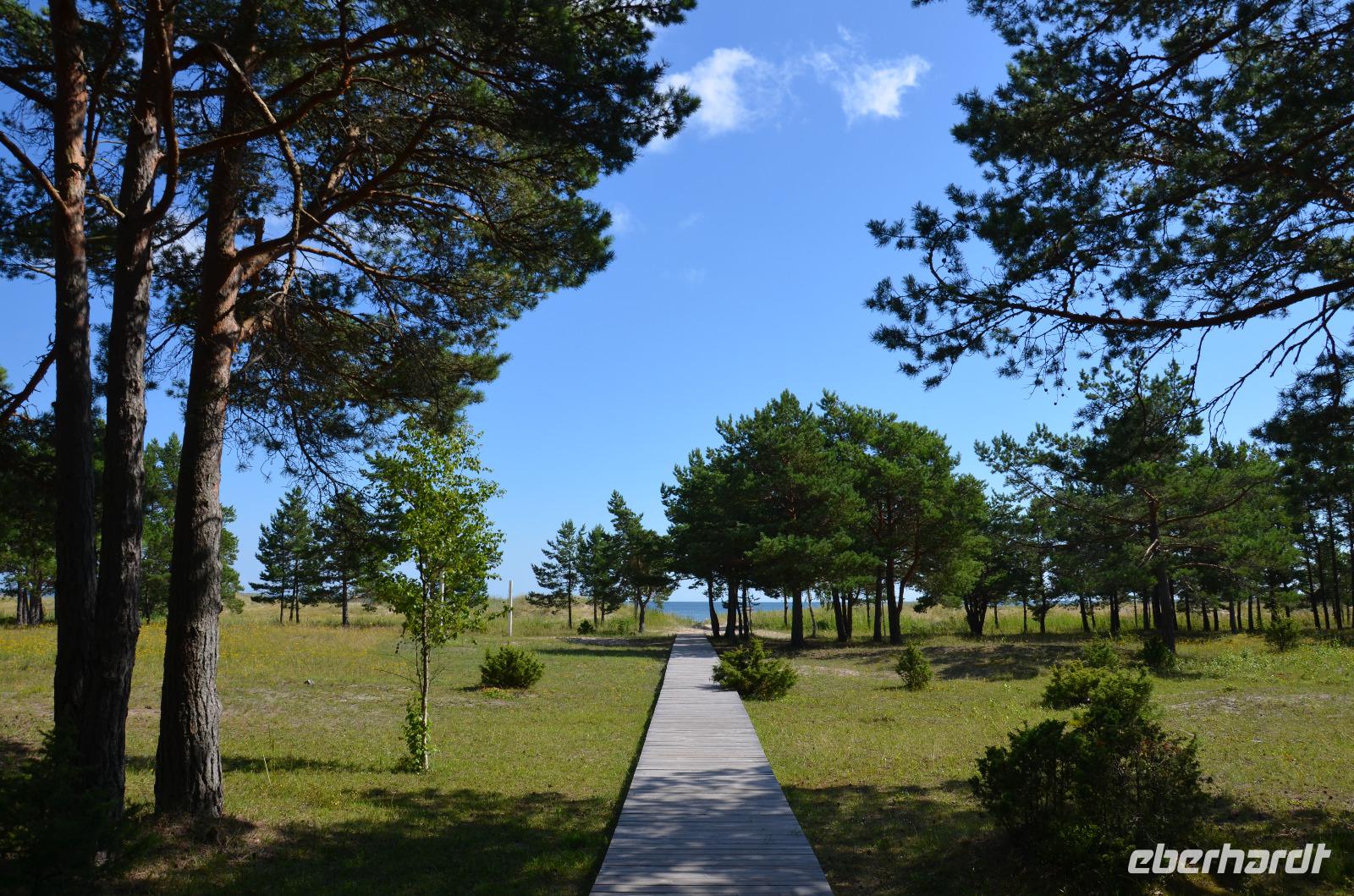 Saaremaa &ndash; &copy; Katja Neumann (Eberhardt TRAVEL)