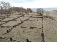 Kurische Nehrung &ndash; &copy; Barbara Mihut (Eberhardt TRAVEL)