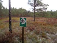Lahemaa Nationalpark &ndash; &copy; Barbara Mihut (Eberhardt TRAVEL)