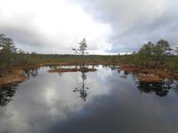 Lahemaa Nationalpark &ndash; &copy; Barbara Mihut (Eberhardt TRAVEL)