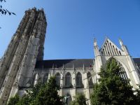 Mechelen, St. Rombouts-Kathedrale &ndash; &copy; Hartwig Köllner (Eberhardt TRAVEL)