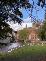 Mein lieber Schwan! &ndash; &copy; Gerold Achim Adamietz (Eberhardt TRAVEL)