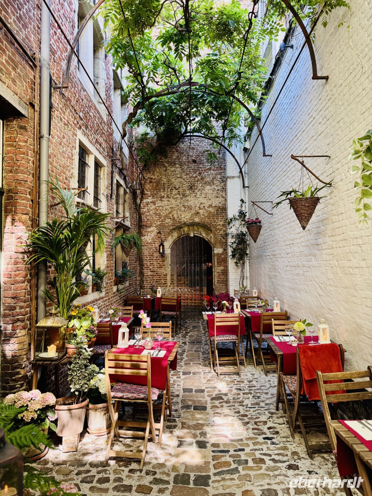 Tag 2 - Antwerpen  &ndash; &copy; Christin Kuschka (Eberhardt TRAVEL)