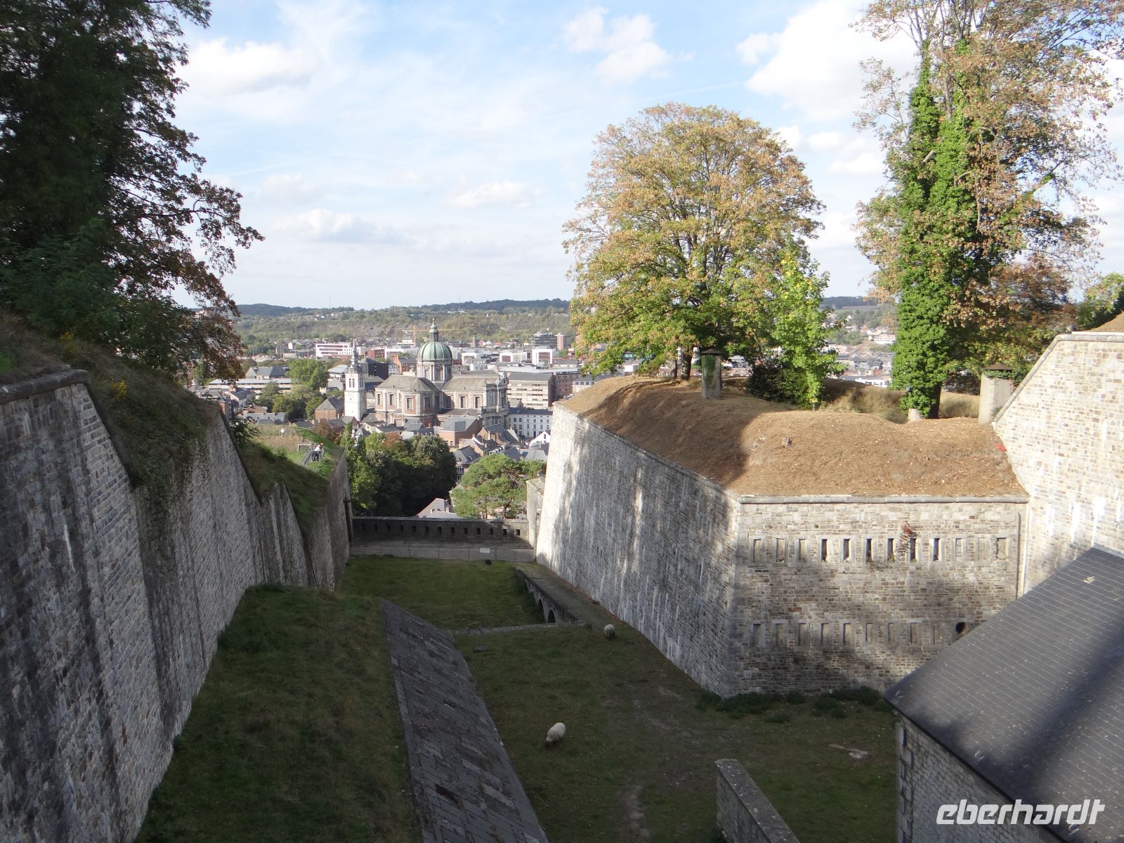 Namur, Schafe grasen in der Zitadelle. &ndash; &copy; Vivian Kreft (Eberhardt TRAVEL)