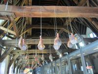 Gent-Fleischhalle &ndash; &copy; Gisela Gerlach (Eberhardt TRAVEL)