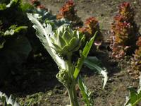 Garten von Annevoie &ndash; &copy; Constanze Hölig (Eberhardt TRAVEL)