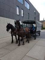 11_Kutschfahrt &ndash; &copy; Jörg Nesse (Eberhardt TRAVEL)