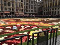 der Blumenteppich &ndash; &copy; Uta Schöne (Eberhardt TRAVEL)
