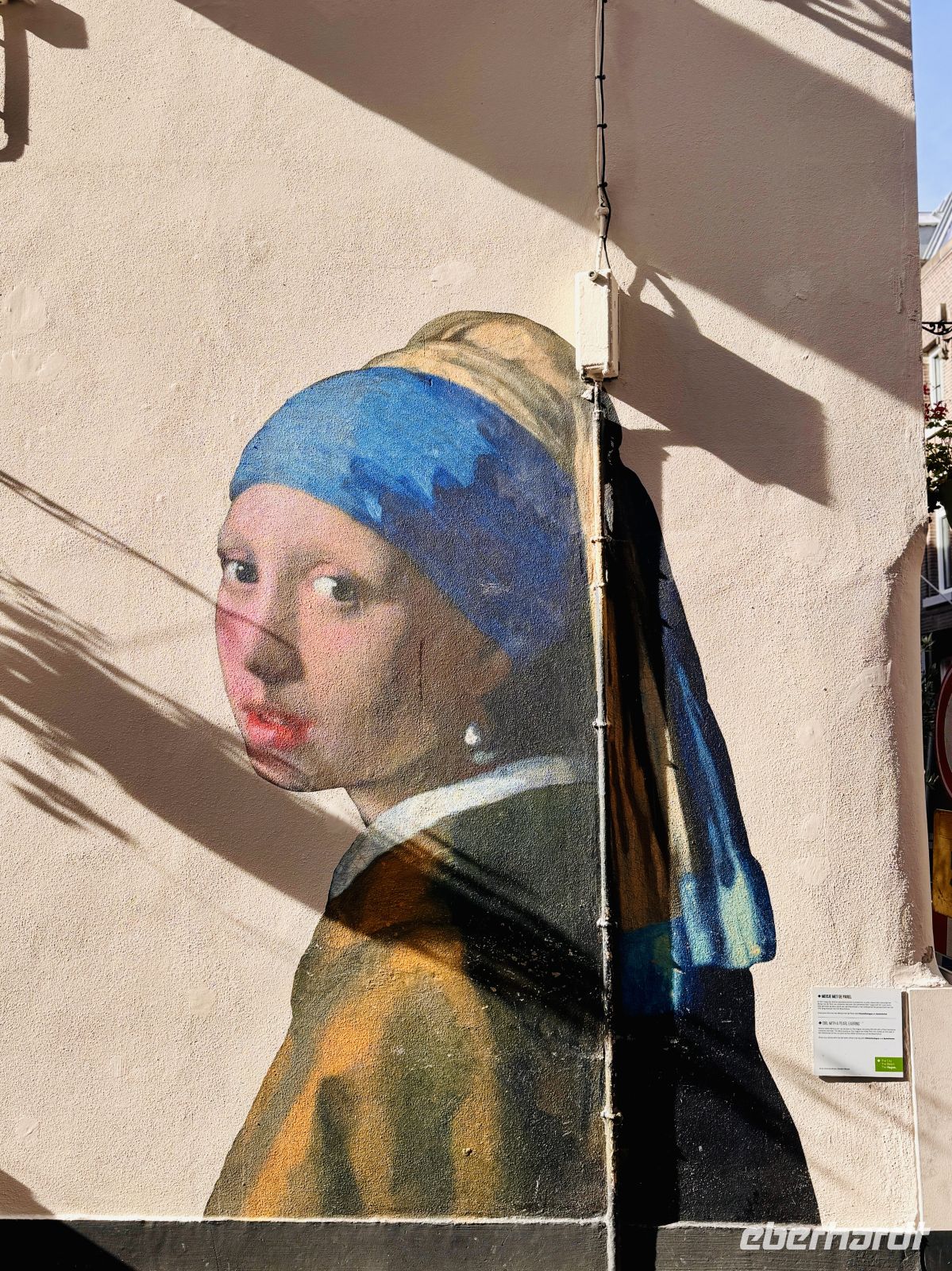 Tag 4 - Streetart, Den Haag &ndash; &copy; Christin Kuschka (Eberhardt TRAVEL)