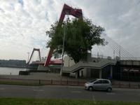 Rotterdam, Willemsbrug &ndash; &copy; Gisela Gerlach (Eberhardt TRAVEL)