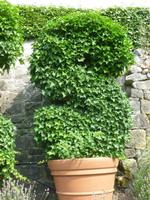 Durbuy Ars Topiaria &ndash; &copy; Grit Wendelberger (Eberhardt TRAVEL)