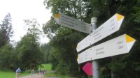 Wanderung zum Pfänder &ndash; &copy; Doreen Päßler (Eberhardt TRAVEL)