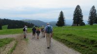 Wanderung zum Pfänder