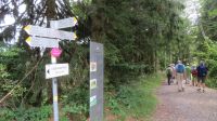 Wanderung zum Pfänder &ndash; &copy; Doreen Päßler (Eberhardt TRAVEL)