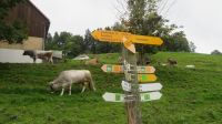 Wanderung von Walzenhausen nach Heiden &ndash; &copy; Doreen Päßler (Eberhardt TRAVEL)
