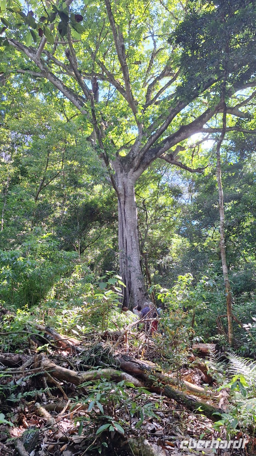 Wanderung im Amboro Nationalpark mit Guide Rocky &ndash; &copy; Sinah Witzig (Eberhardt TRAVEL)