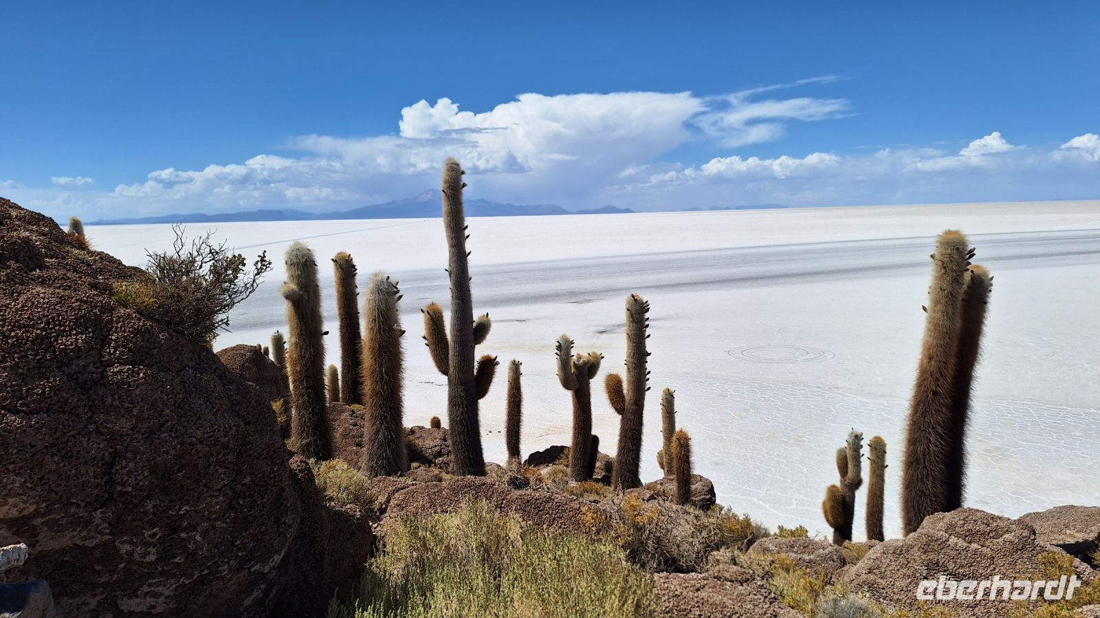 Uyuni Salzsee: Insel Incahuasi &ndash; &copy; Sinah Witzig (Eberhardt TRAVEL)