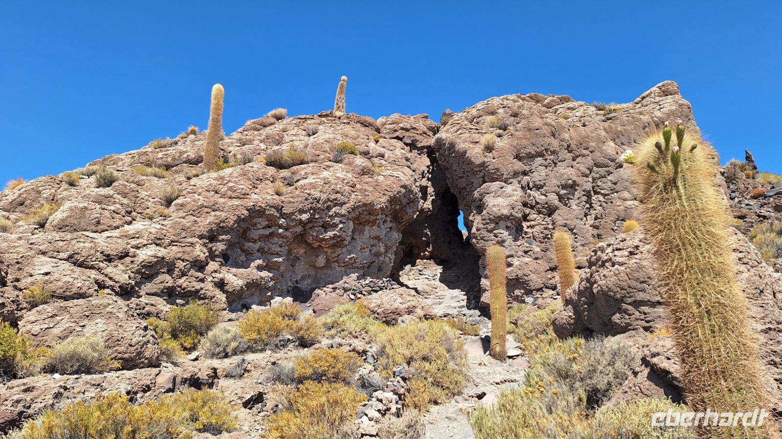 Uyuni Salzsee: Insel Incahuasi &ndash; &copy; Sinah Witzig (Eberhardt TRAVEL)