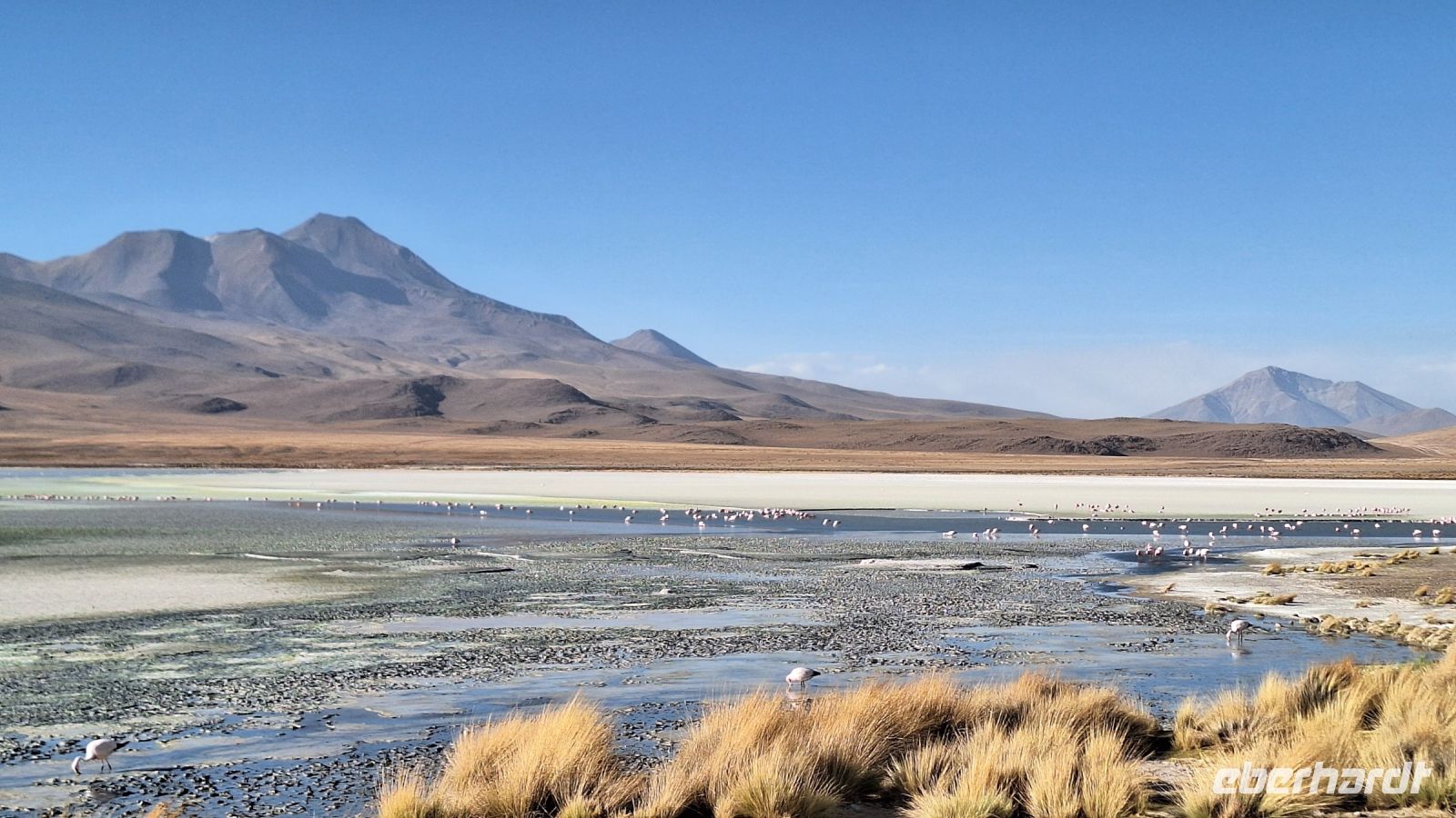 Laguna Hedionda &ndash; &copy; Sinah Witzig (Eberhardt TRAVEL)